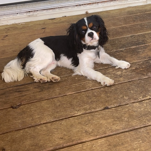 Meet your Posher, Sarah - Picture 13 of 16